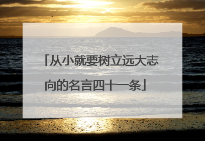 从小就要树立远大志向的名言四十一条