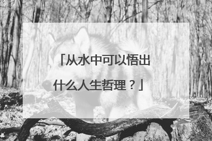 从水中可以悟出什么人生哲理？