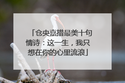 仓央嘉措最美十句情诗：这一生，我只想在你的心里流浪