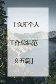 仓库个人工作总结范文五篇