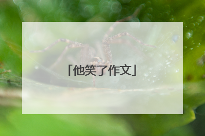 他笑了作文
