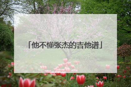 他不懂张杰的吉他谱