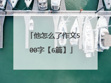 他怎么了作文500字【6篇】