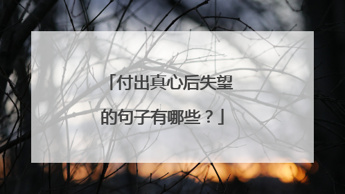 付出真心后失望的句子有哪些?