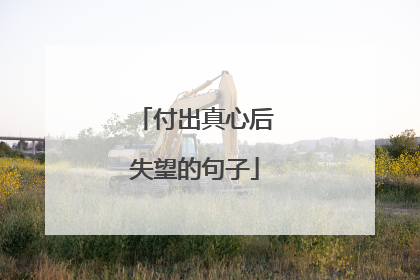 付出真心后失望的句子