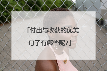 付出与收获的优美句子有哪些呢?