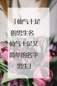 仙气十足的男生名 仙气十足又简单的名字男生