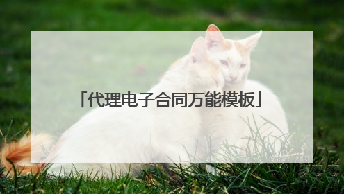 代理电子合同万能模板