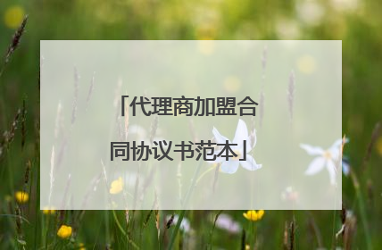 代理商加盟合同协议书范本