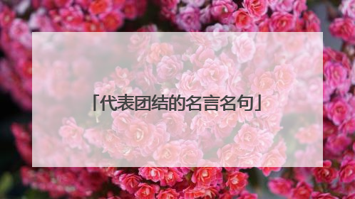 代表团结的名言名句