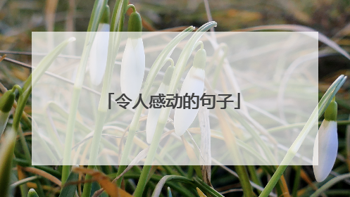 令人感动的句子
