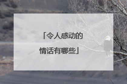令人感动的情话有哪些