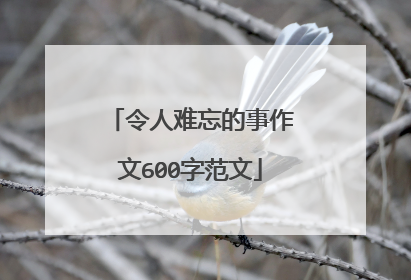 令人难忘的事作文600字范文