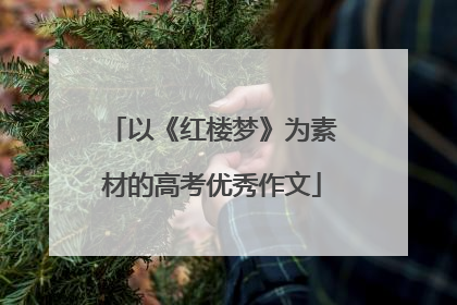 以《红楼梦》为素材的高考优秀作文
