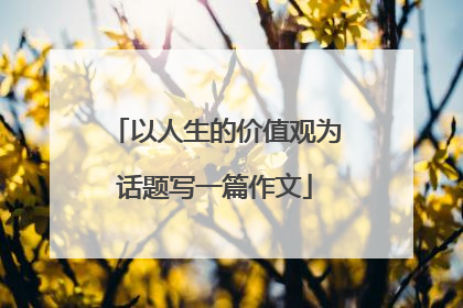 以人生的价值观为话题写一篇作文