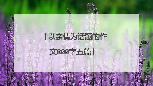 以亲情为话题的作文800字五篇