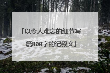 以令人难忘的细节写一篇800字的记叙文