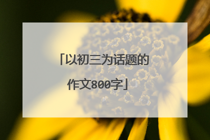 以初三为话题的作文800字