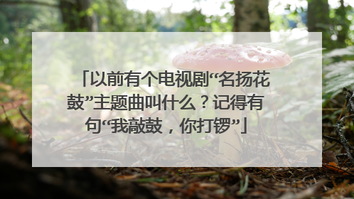 以前有个电视剧“名扬花鼓”主题曲叫什么?记得有句“我敲鼓,你打锣”