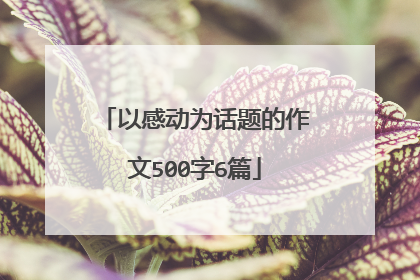以感动为话题的作文500字6篇