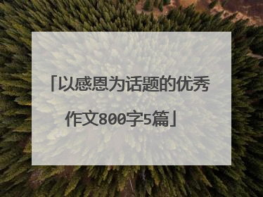 以感恩为话题的优秀作文800字5篇