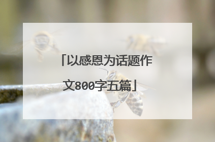 以感恩为话题作文800字五篇