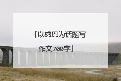 以感恩为话题写作文700字