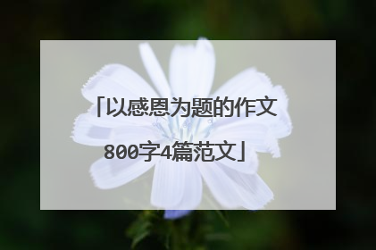 以感恩为题的作文800字4篇范文