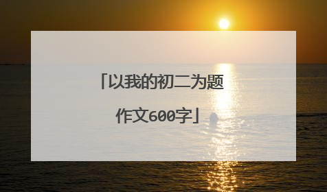 以我的初二为题 作文600字