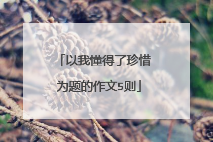 以我懂得了珍惜为题的作文5则