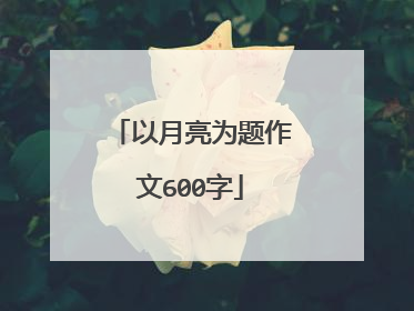 以月亮为题作文600字