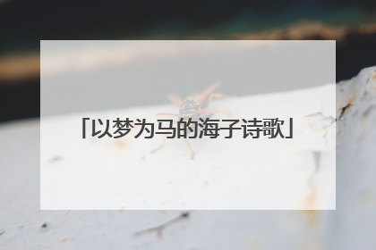 以梦为马的海子诗歌