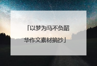 以梦为马不负韶华作文素材摘抄