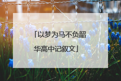 以梦为马不负韶华高中记叙文