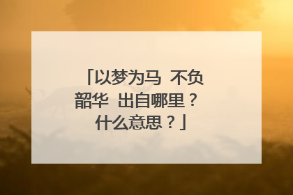 以梦为马 不负韶华 出自哪里? 什么意思?