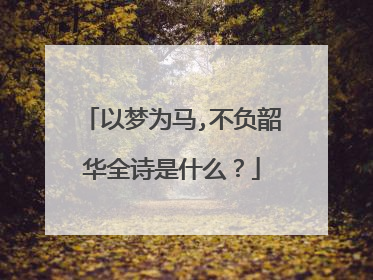 以梦为马,不负韶华全诗是什么？