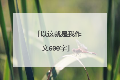 以这就是我作文600字