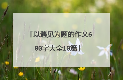 以遇见为题的作文600字大全10篇