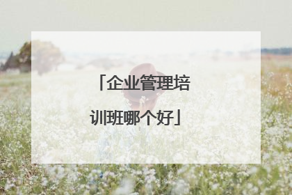 企业管理培训班哪个好