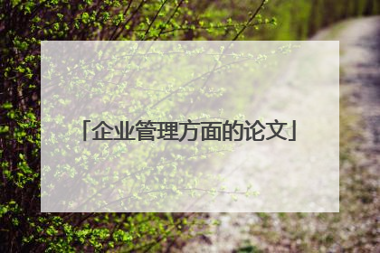 企业管理方面的论文