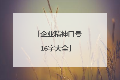企业精神口号16字大全