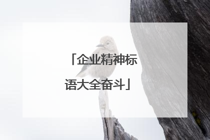 企业精神标语大全奋斗