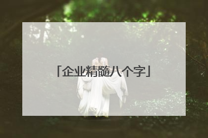 企业精髓八个字