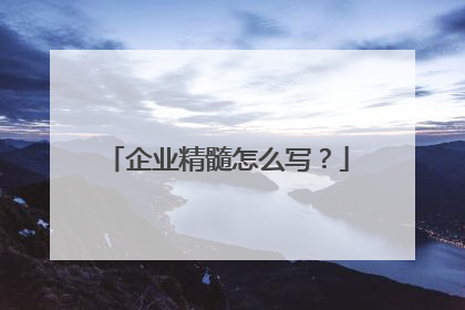 企业精髓怎么写？