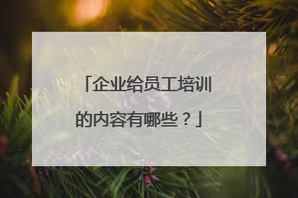 企业给员工培训的内容有哪些?