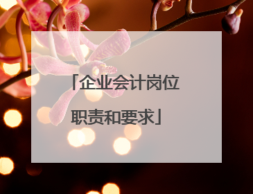 企业会计岗位职责和要求