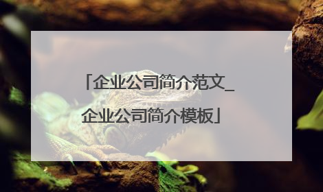 企业公司简介范文_企业公司简介模板