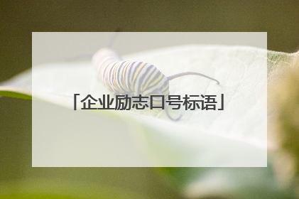 企业励志口号标语