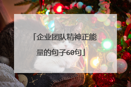 企业团队精神正能量的句子60句