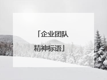 企业团队精神标语